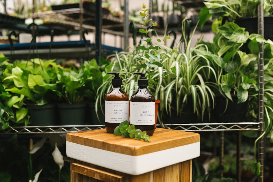 Nature-Inspired Therapeutic Practices